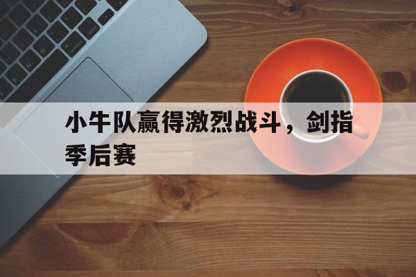 小牛队赢得激烈战斗，剑指季后赛